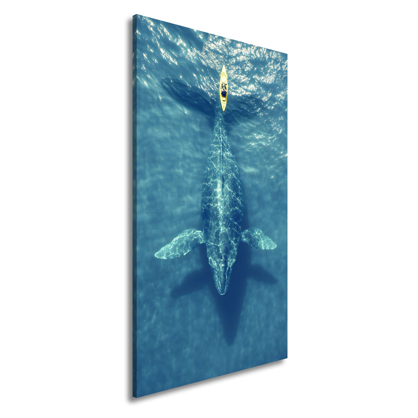 Hauptbild Farbig Panorama