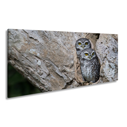 Hauptbild Farbig Panorama