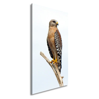 Hauptbild Farbig Panorama