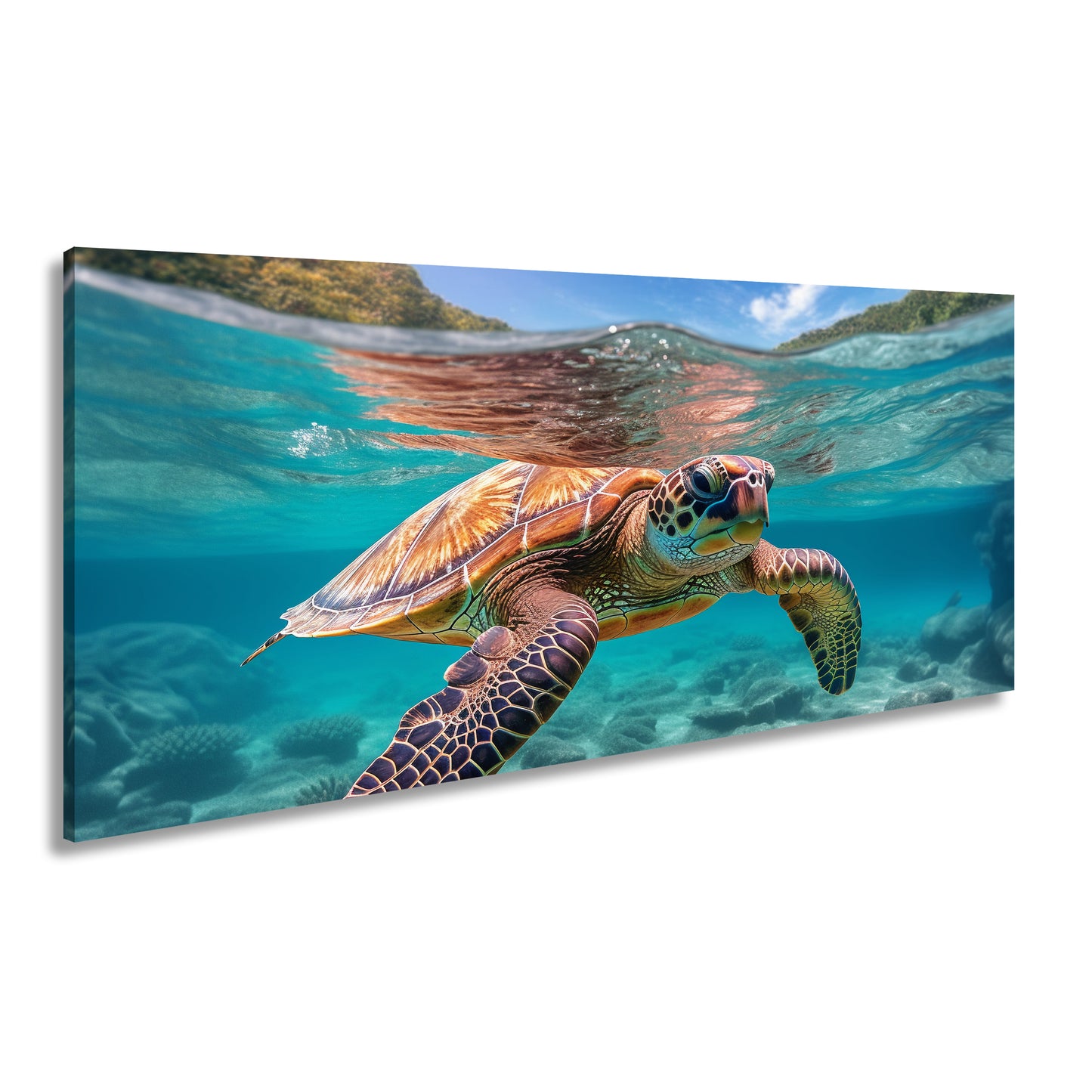 Hauptbild Farbig Panorama