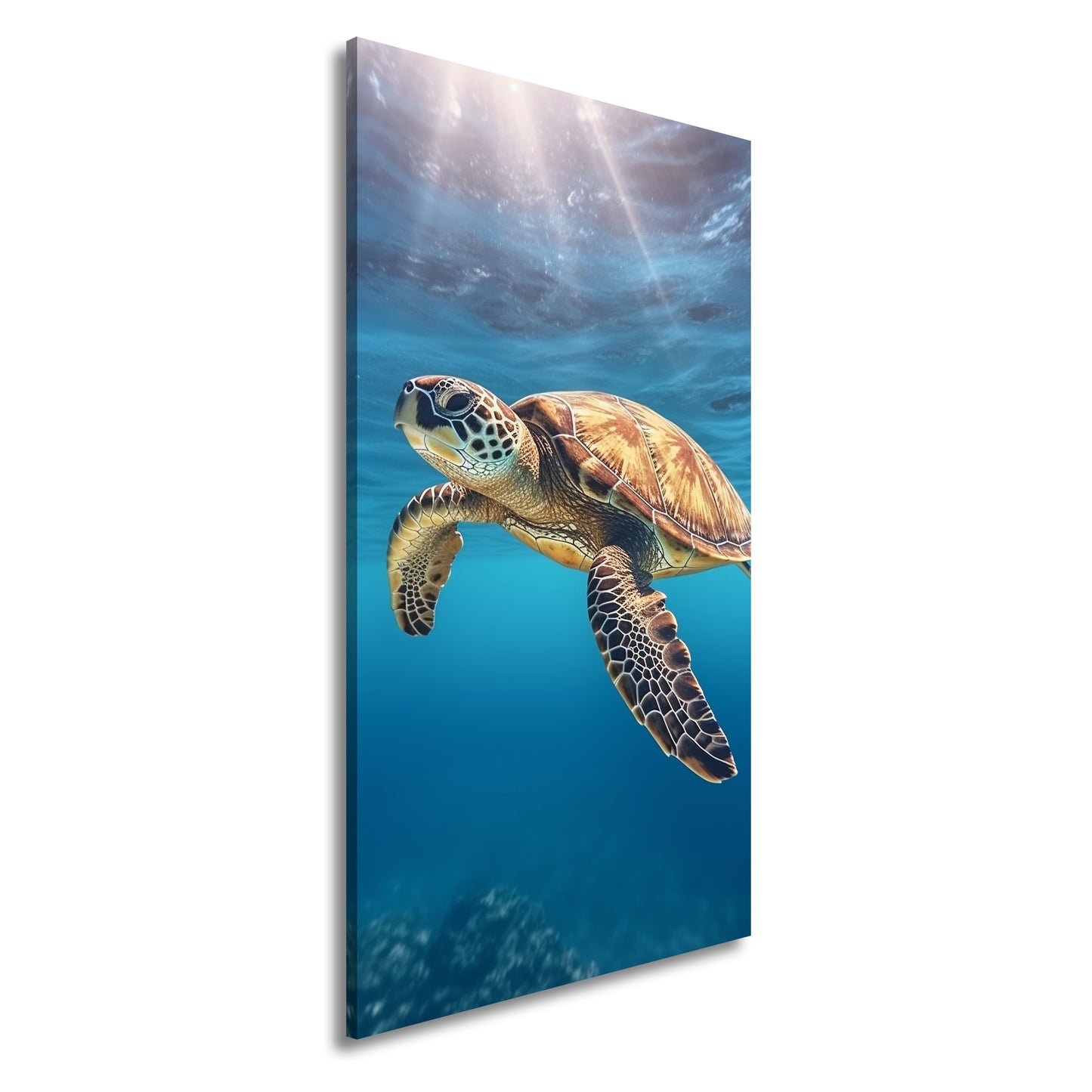 Hauptbild Farbig Panorama