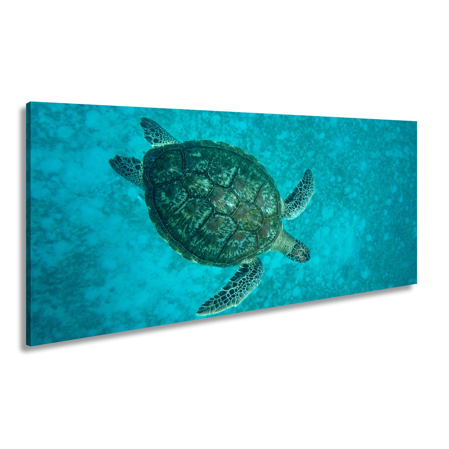 Hauptbild Farbig Panorama