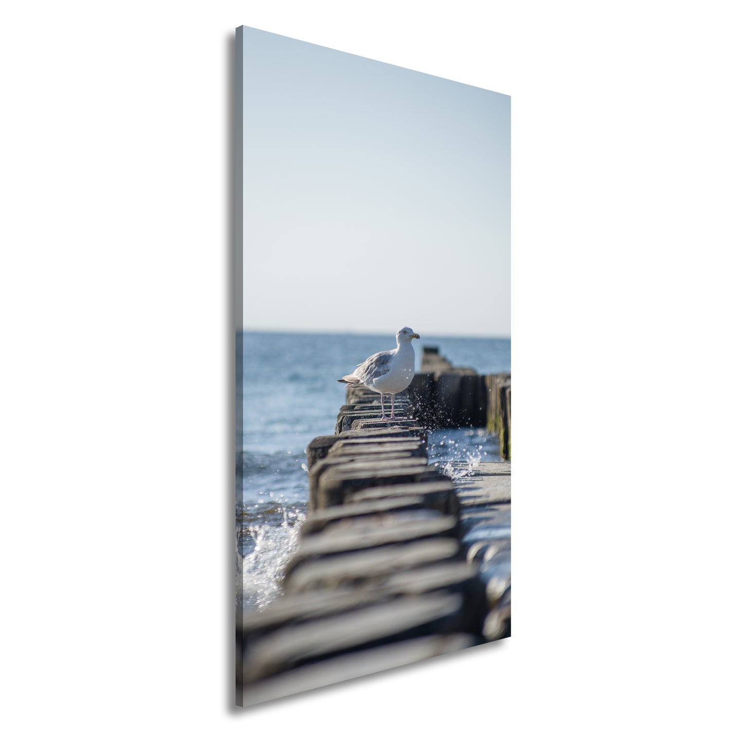 Hauptbild Farbig Panorama