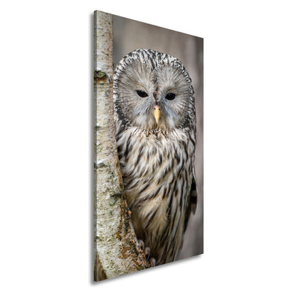 Hauptbild Farbig Panorama