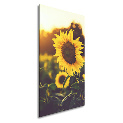 Hauptbild Farbig Panorama