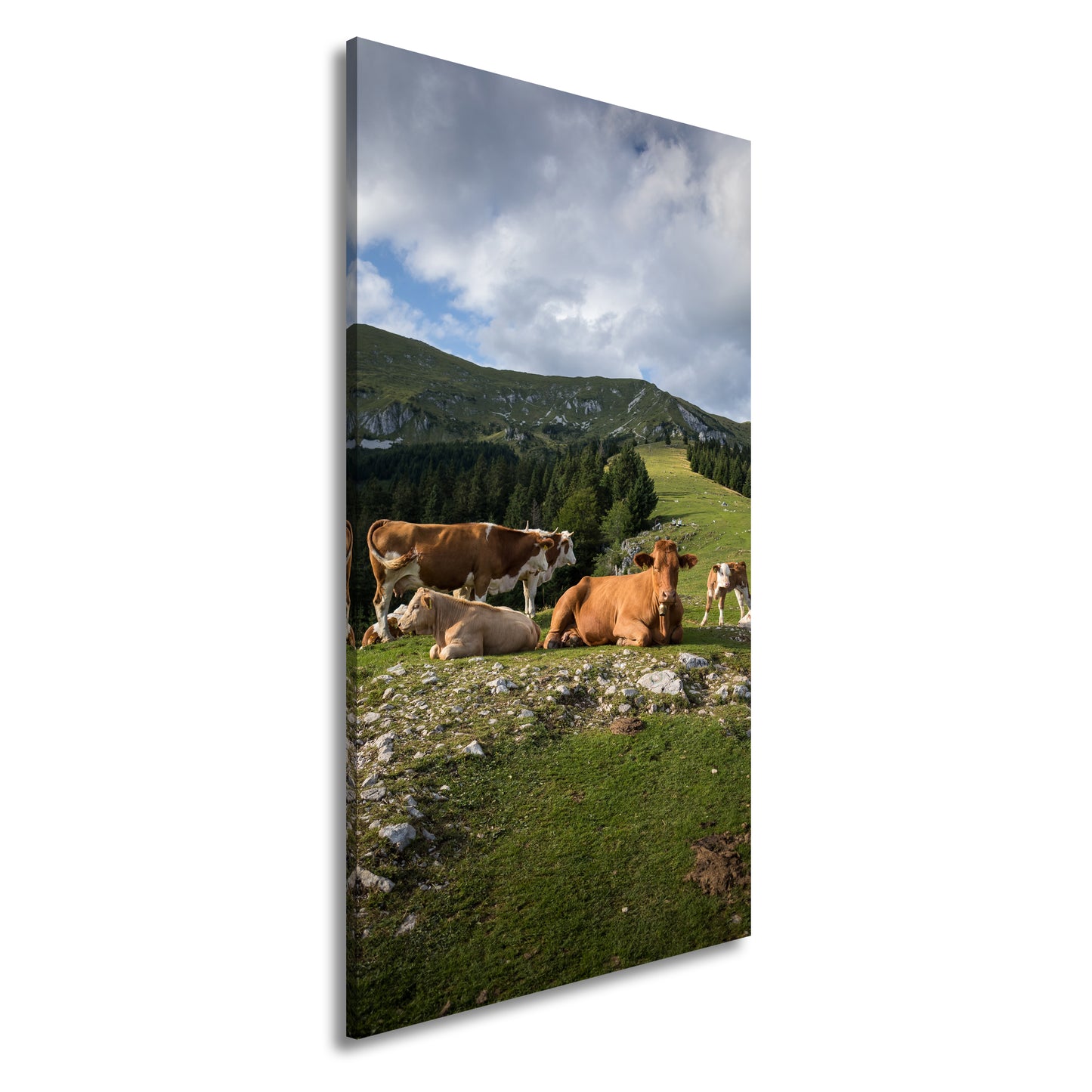 Hauptbild Farbig Panorama