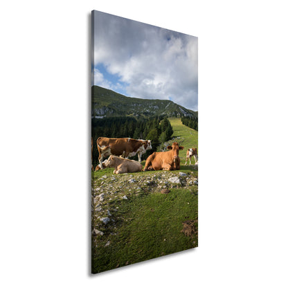 Hauptbild Farbig Panorama