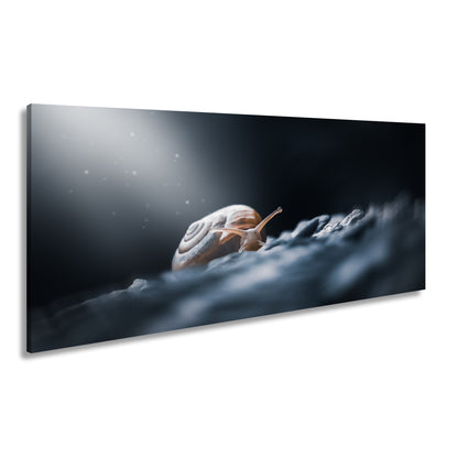 Hauptbild Farbig Panorama