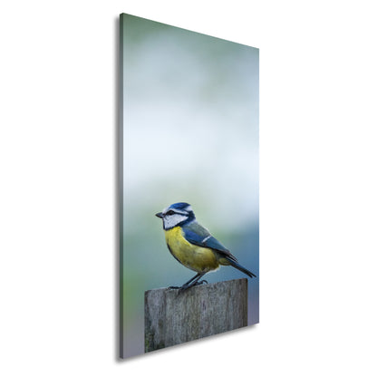 Hauptbild Farbig Panorama