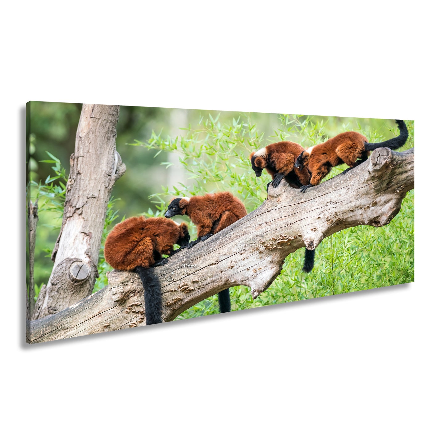 Hauptbild Farbig Panorama