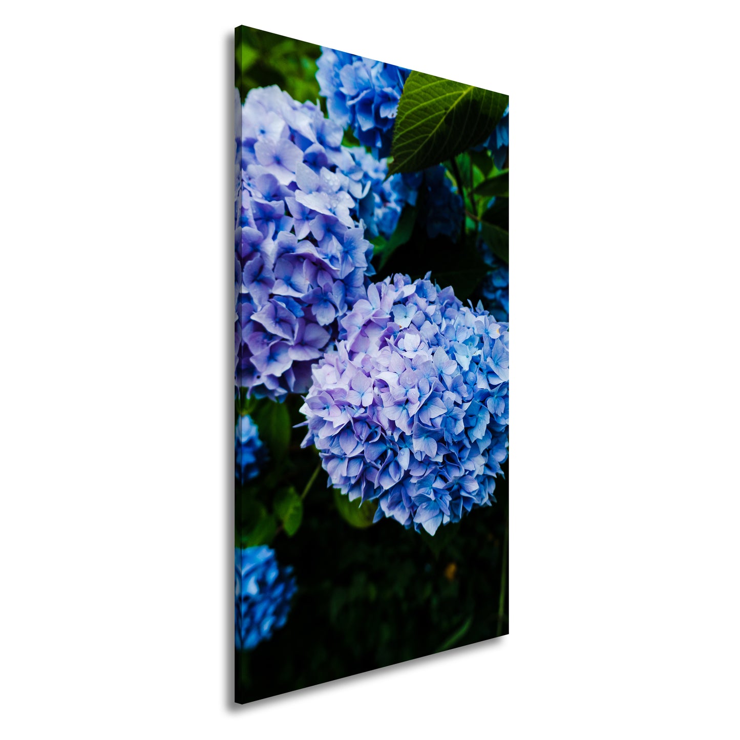 Hauptbild Farbig Panorama