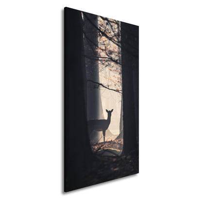 Hauptbild Farbig Panorama