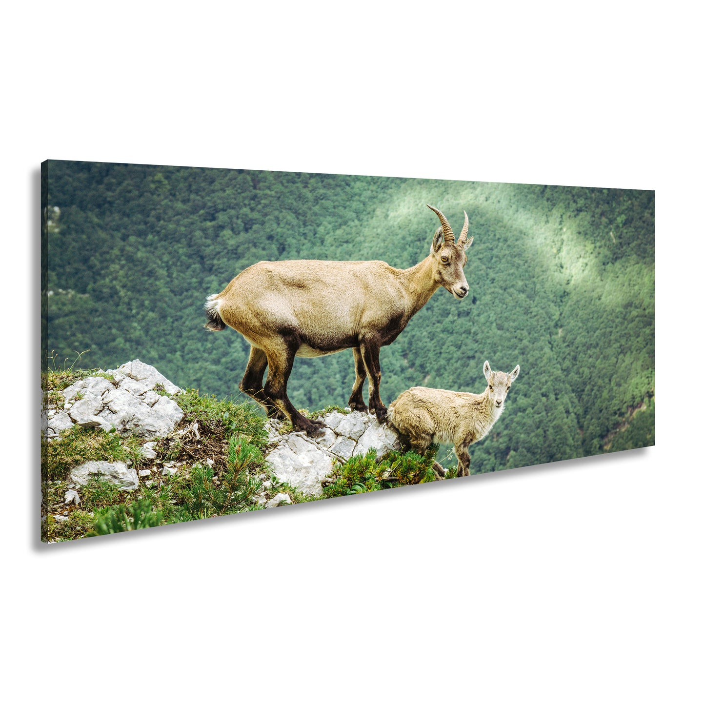 Hauptbild Farbig Panorama