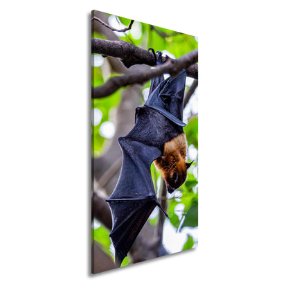 Hauptbild Farbig Panorama