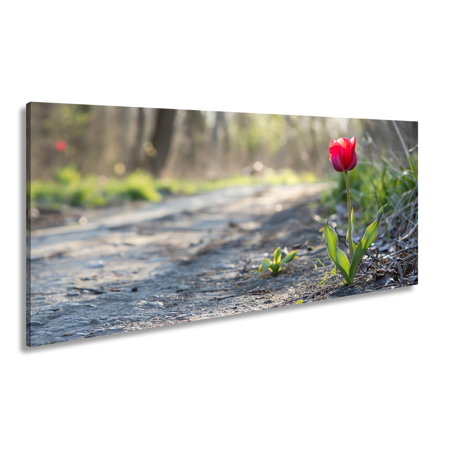 Hauptbild Farbig Panorama