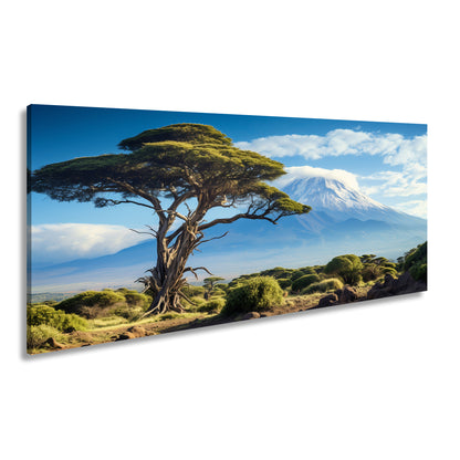 Hauptbild Farbig Panorama