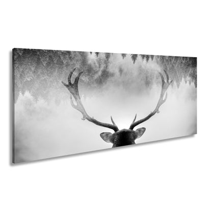 Hauptbild Farbig Panorama