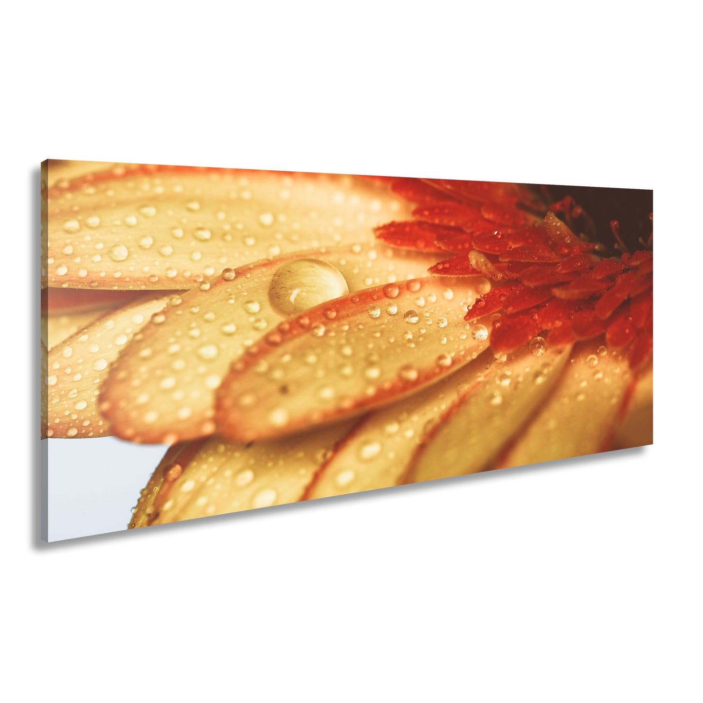 Hauptbild Farbig Panorama