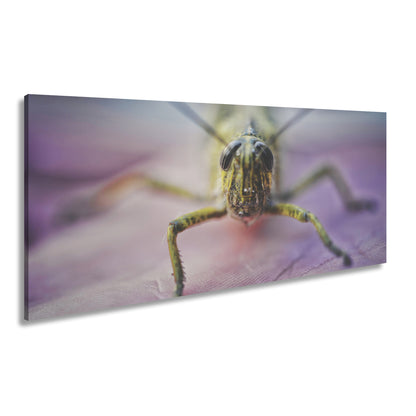 Hauptbild Farbig Panorama