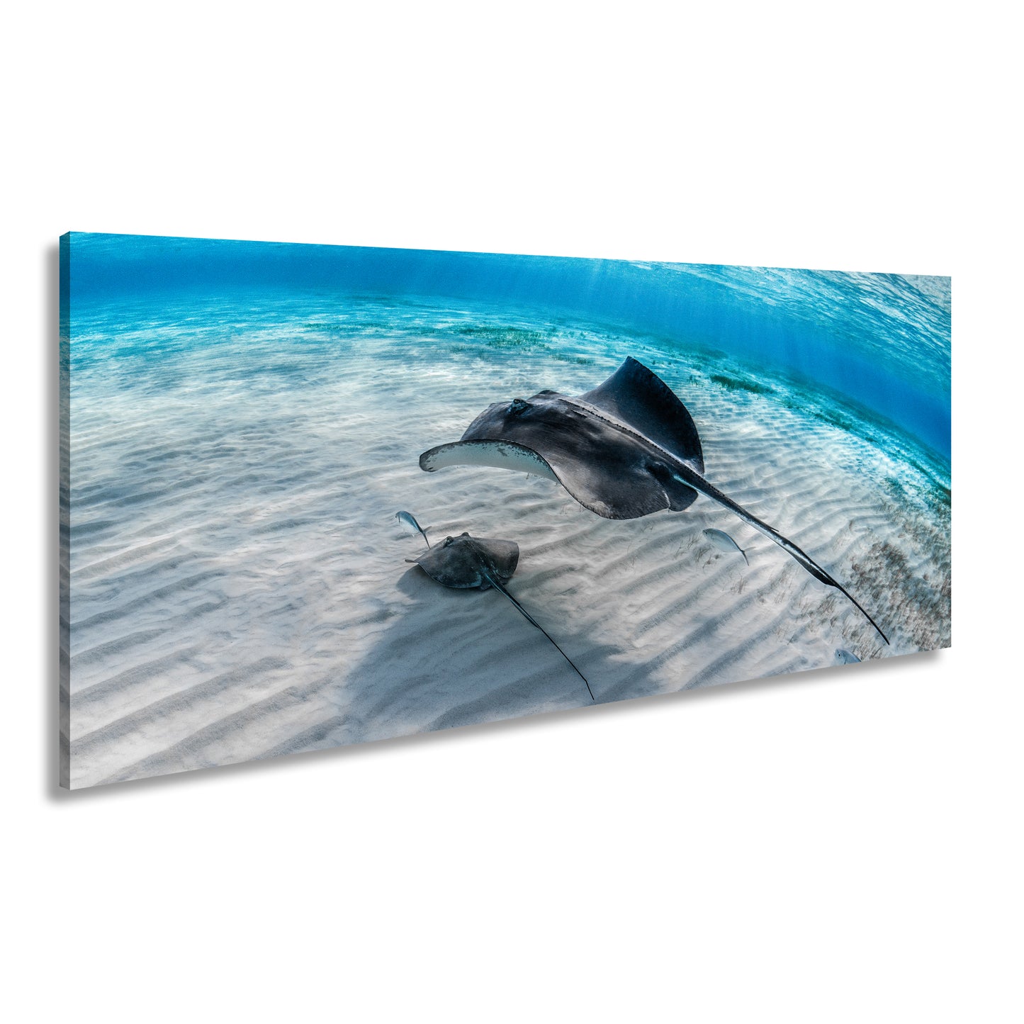 Hauptbild Farbig Panorama