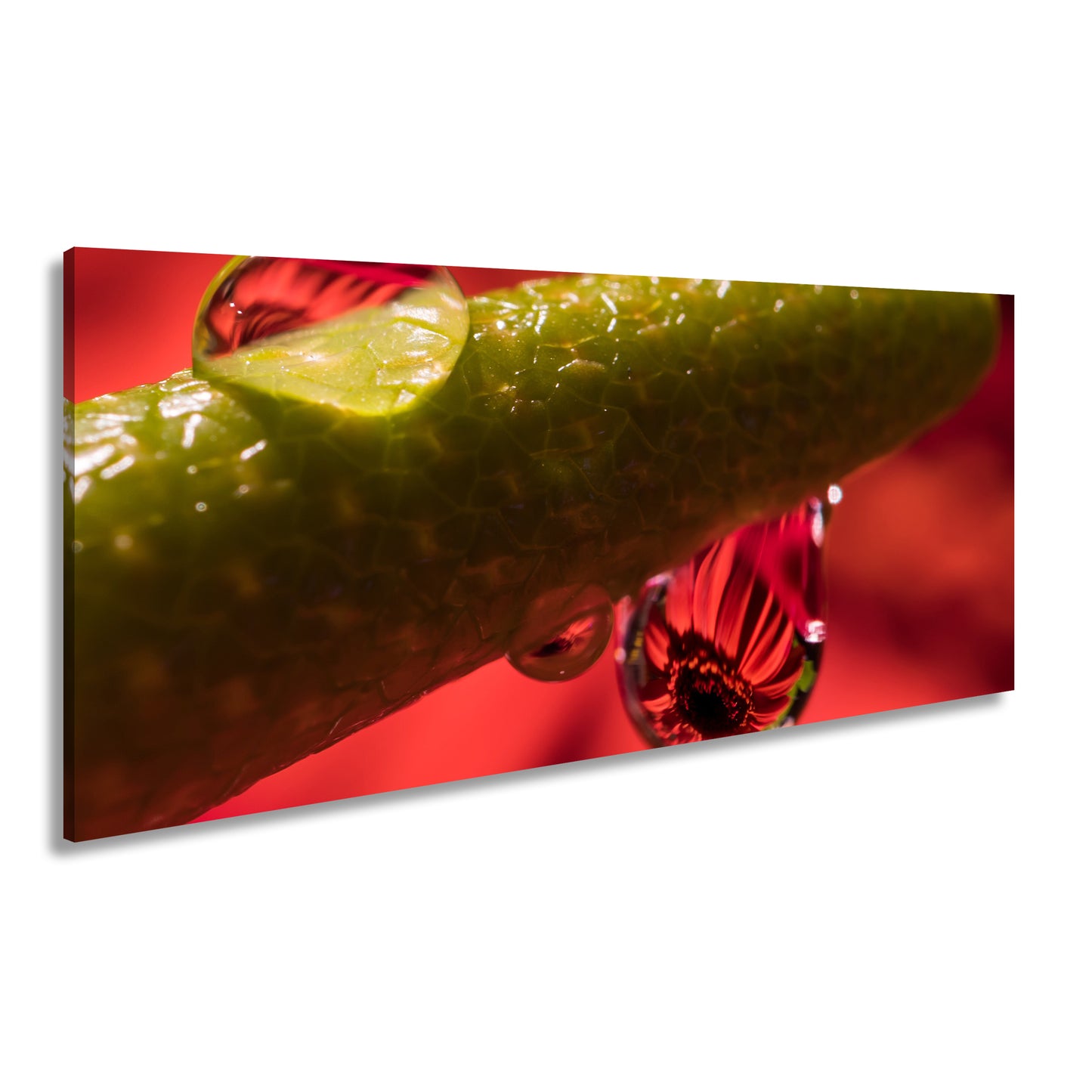 Hauptbild Farbig Panorama