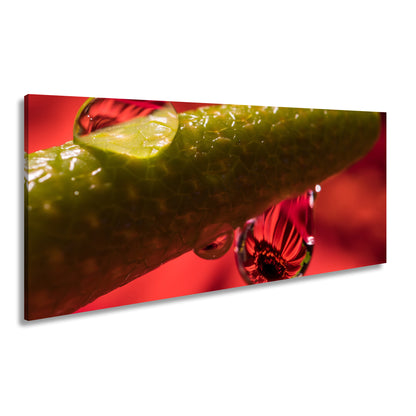 Hauptbild Farbig Panorama