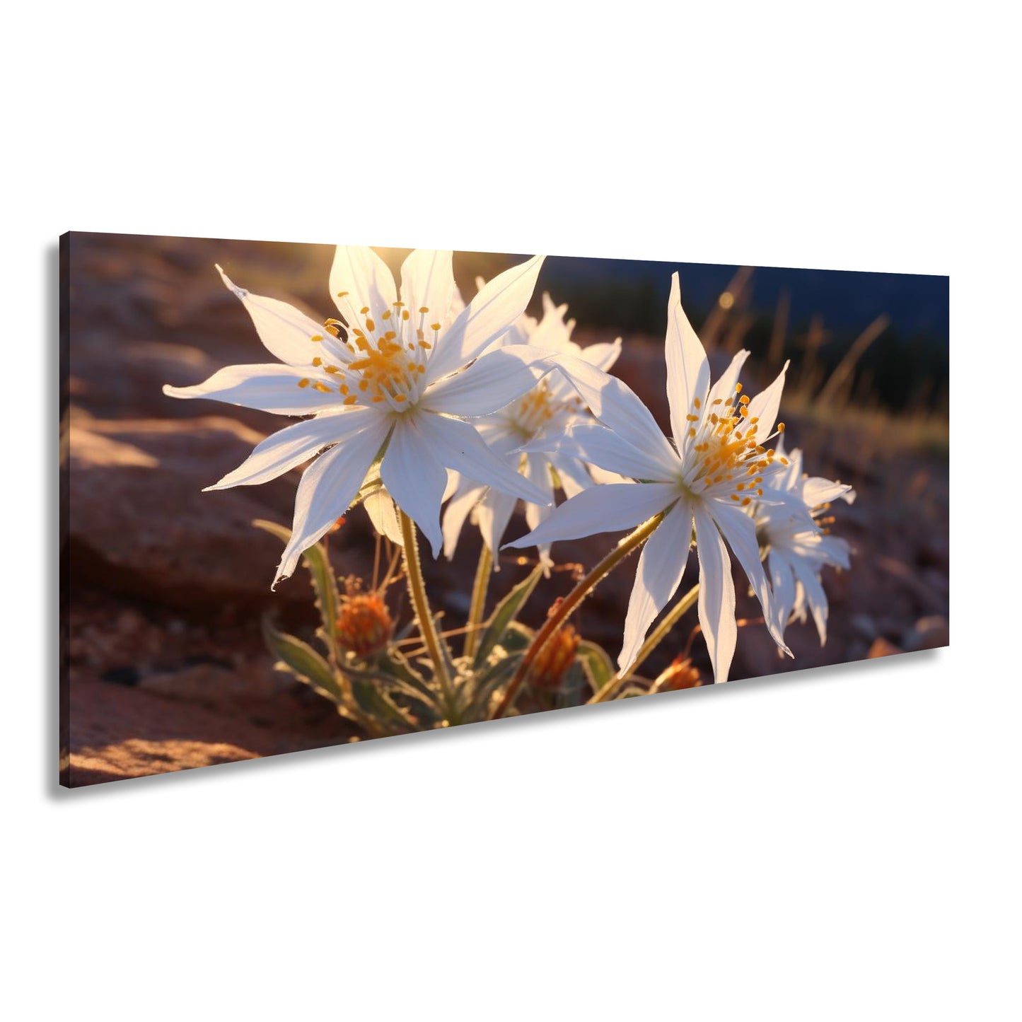 Hauptbild Farbig Panorama