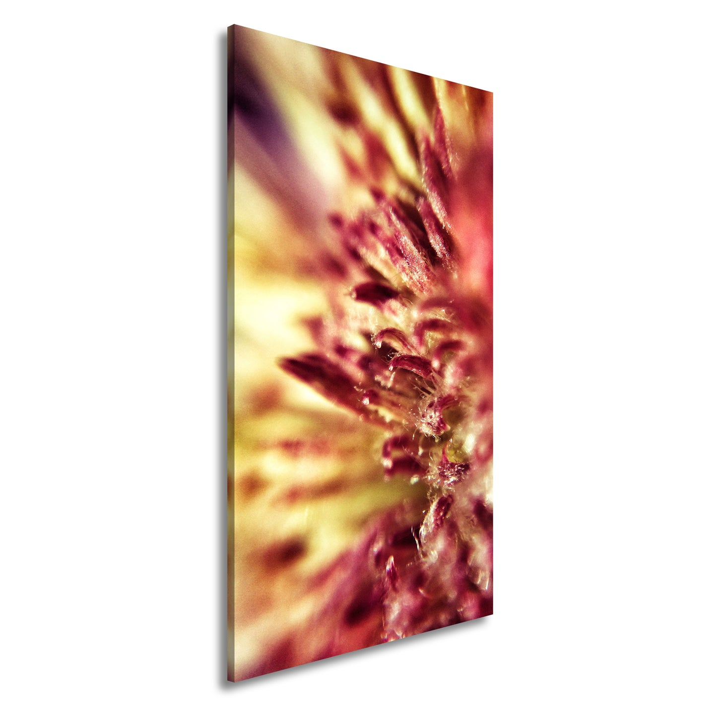 Hauptbild Farbig Panorama