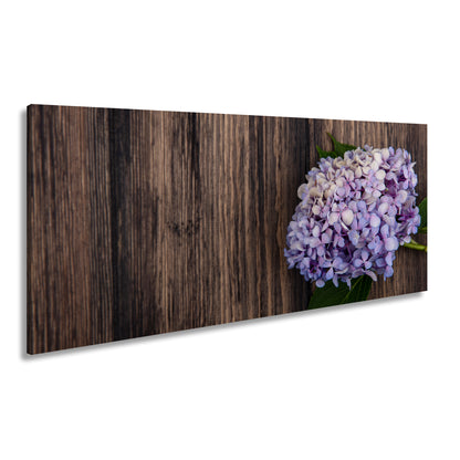 Hauptbild Farbig Panorama