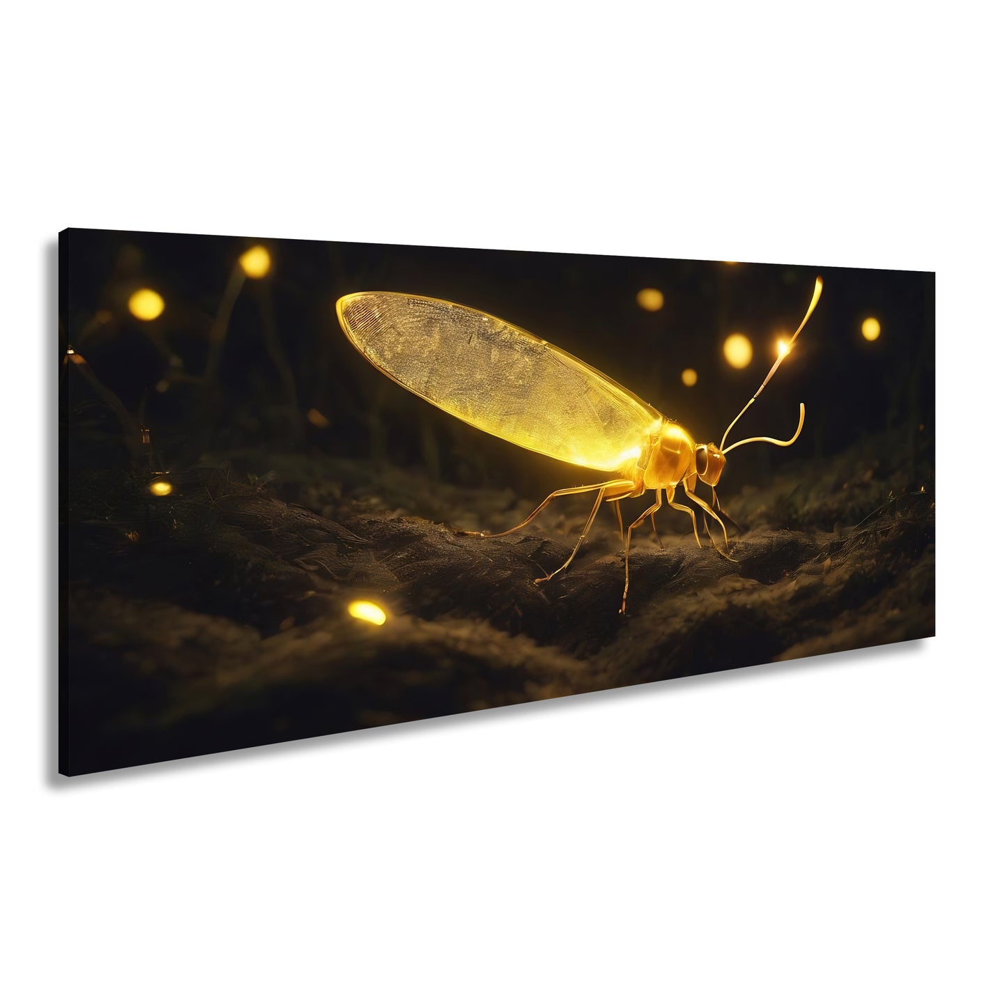 Hauptbild Farbig Panorama