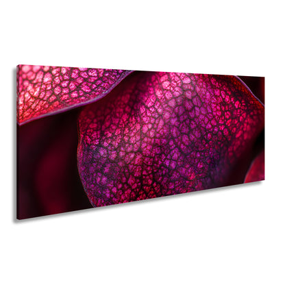 Hauptbild Farbig Panorama