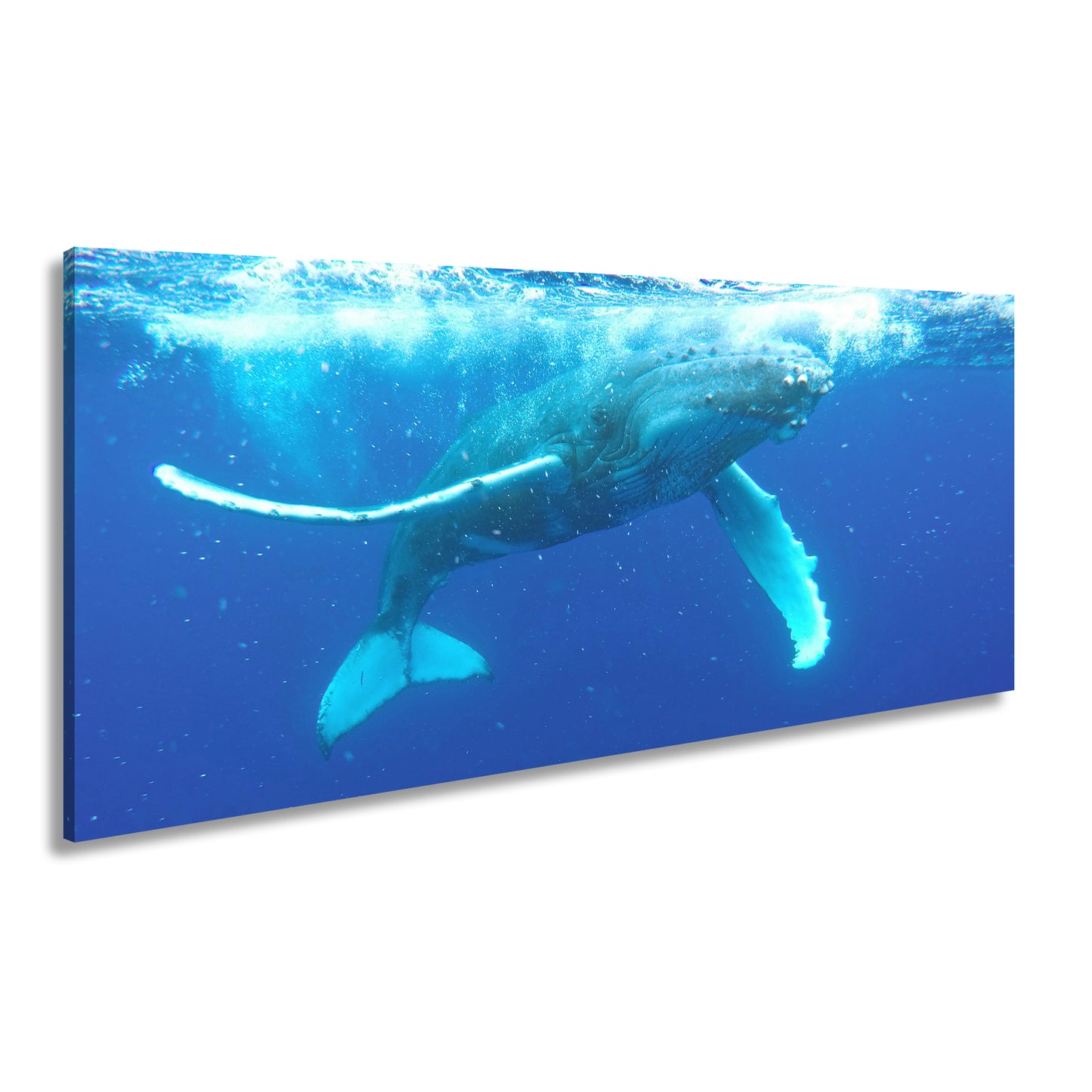 Hauptbild Farbig Panorama