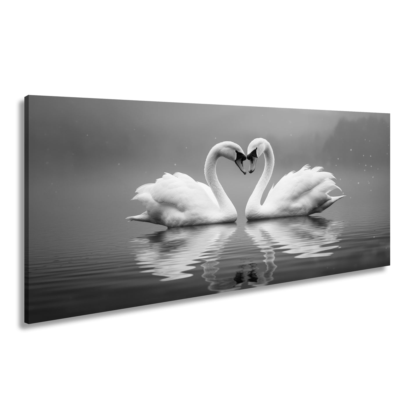 Hauptbild Schwarz & Weiß Panorama