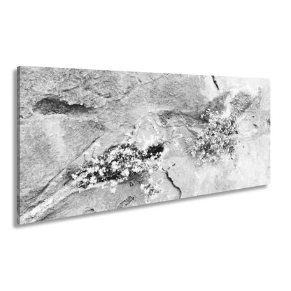 Hauptbild Schwarz & Weiß Panorama