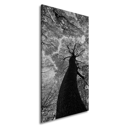 Hauptbild Schwarz & Weiß Panorama