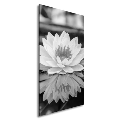 Hauptbild Schwarz & Weiß Panorama