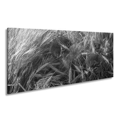 Hauptbild Schwarz & Weiß Panorama