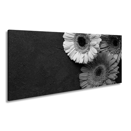 Hauptbild Schwarz & Weiß Panorama