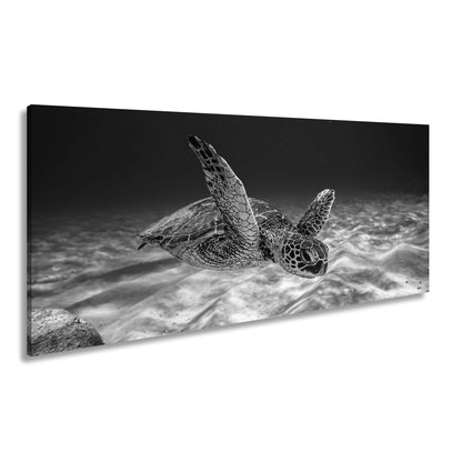 Hauptbild Schwarz & Weiß Panorama