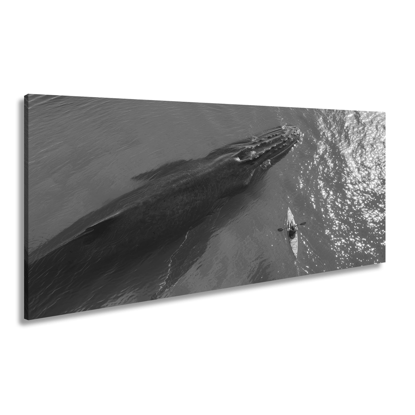 Hauptbild Schwarz & Weiß Panorama