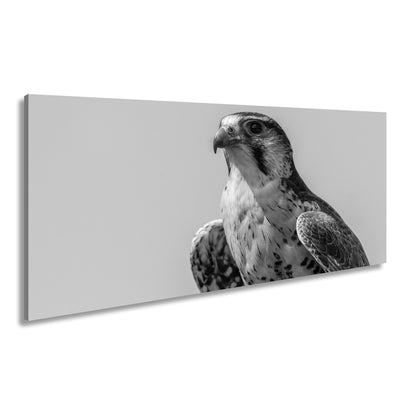 Hauptbild Schwarz & Weiß Panorama