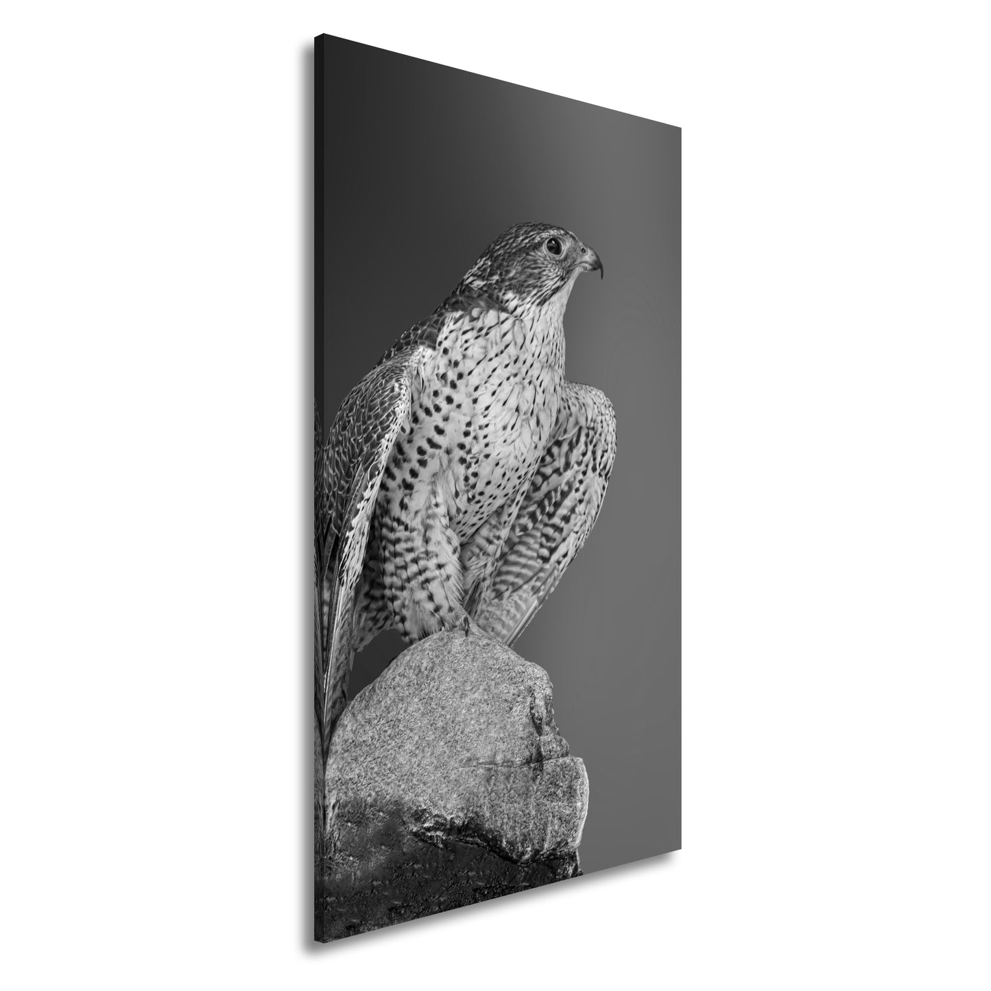 Hauptbild Schwarz & Weiß Panorama