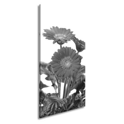 Hauptbild Schwarz & Weiß Panorama