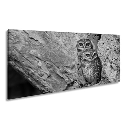 Hauptbild Schwarz & Weiß Panorama