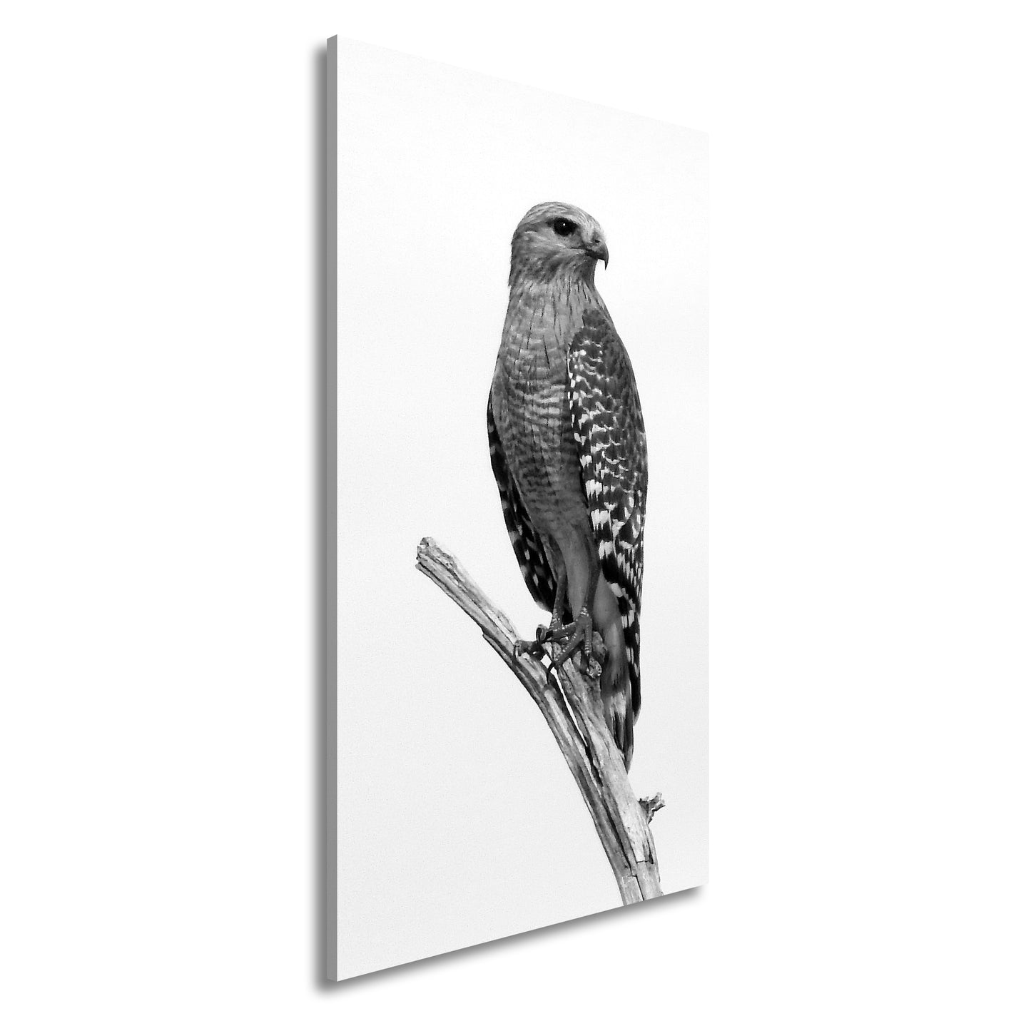 Hauptbild Schwarz & Weiß Panorama