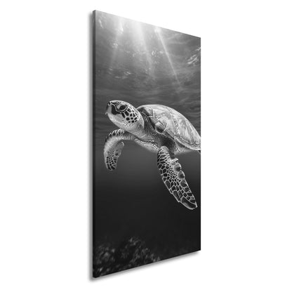 Hauptbild Schwarz & Weiß Panorama