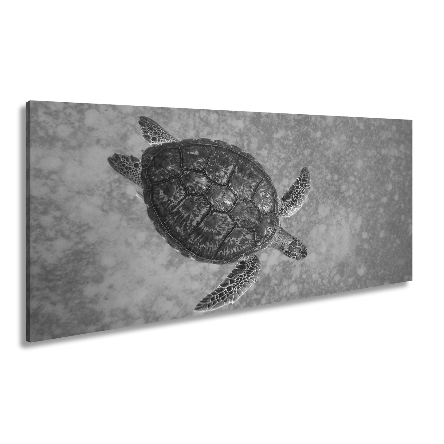 Hauptbild Schwarz & Weiß Panorama