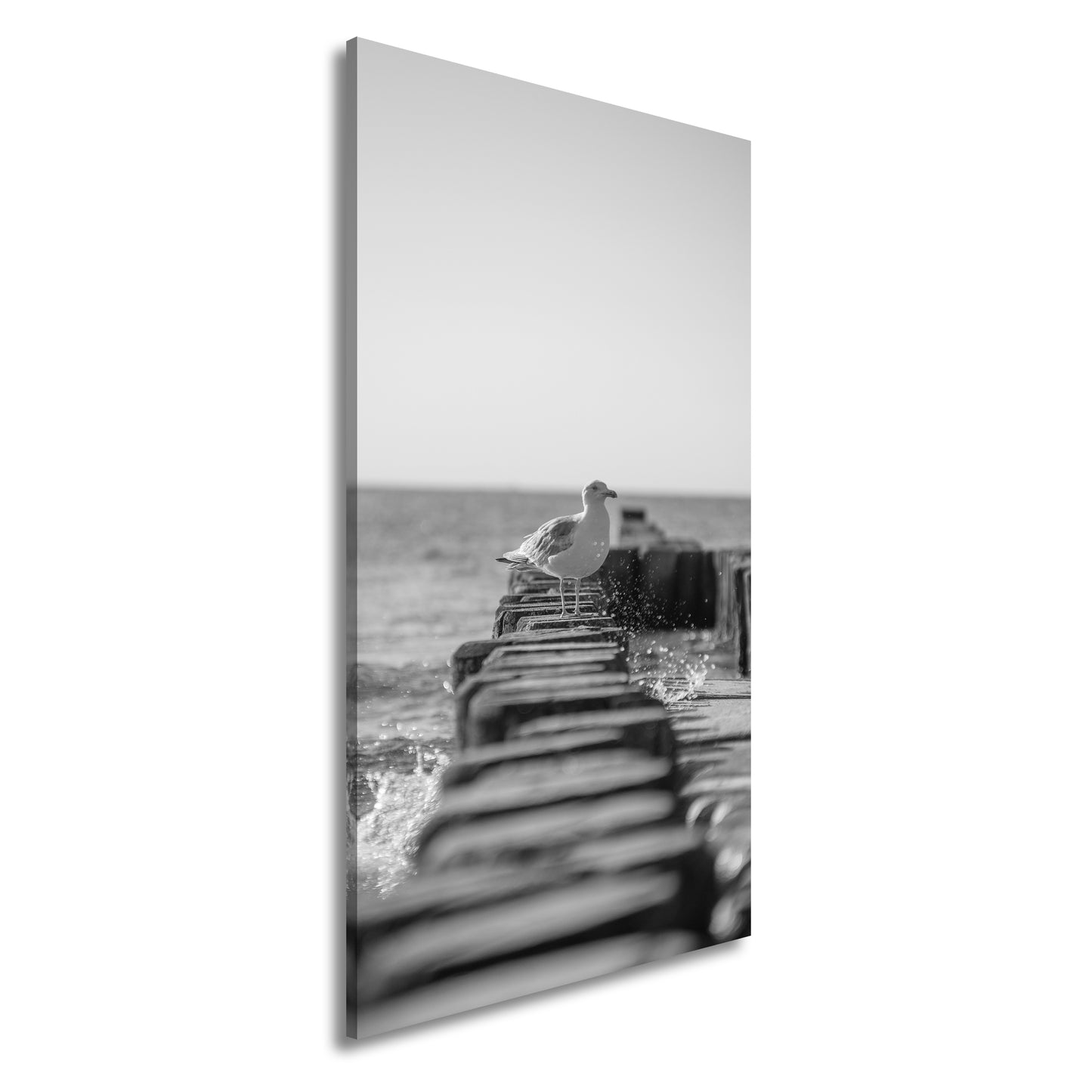 Hauptbild Schwarz & Weiß Panorama