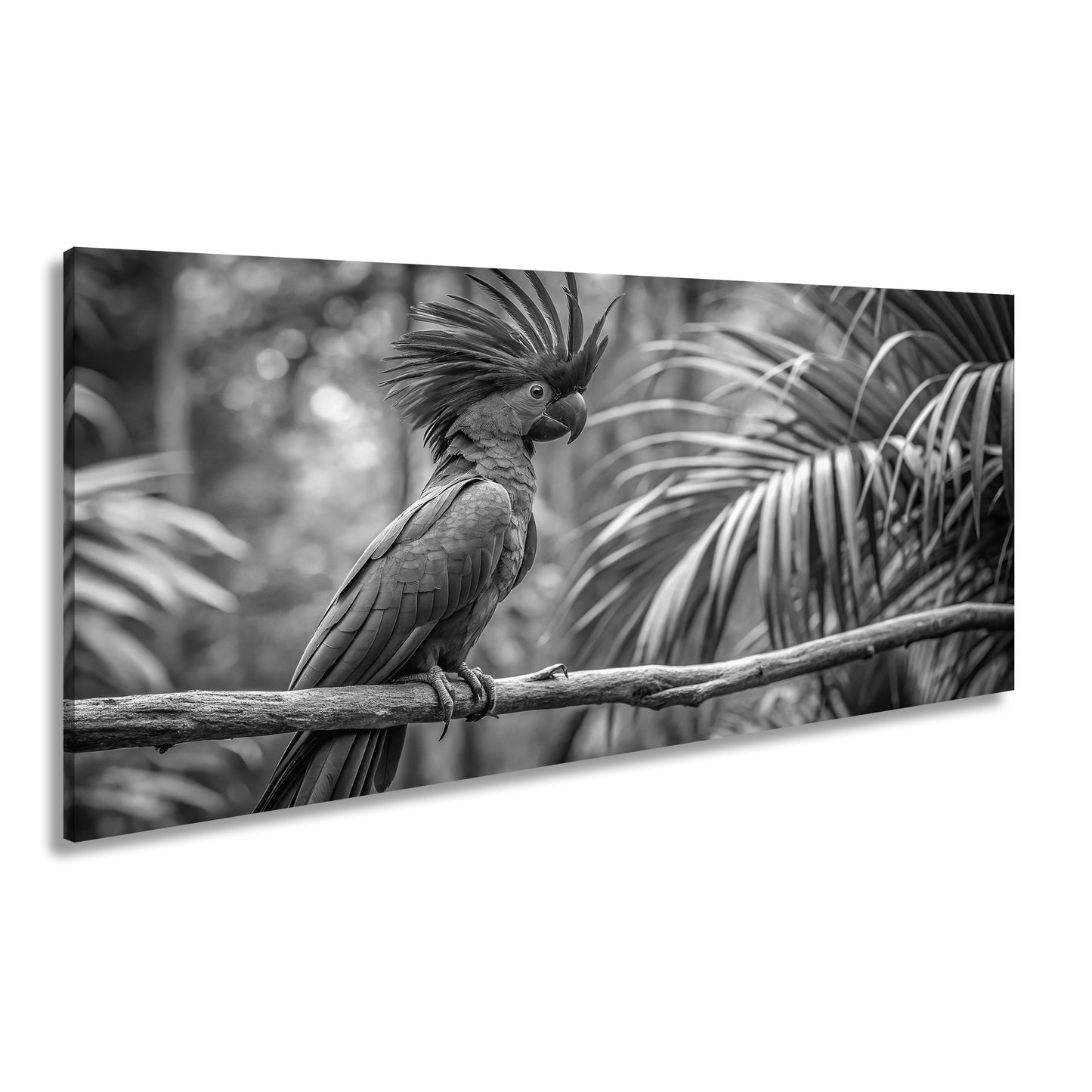 Hauptbild Schwarz & Weiß Panorama