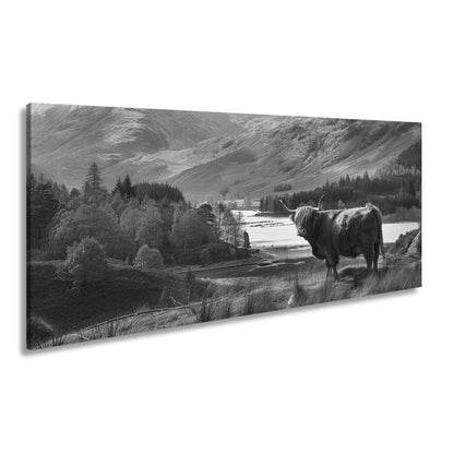 Hauptbild Schwarz & Weiß Panorama